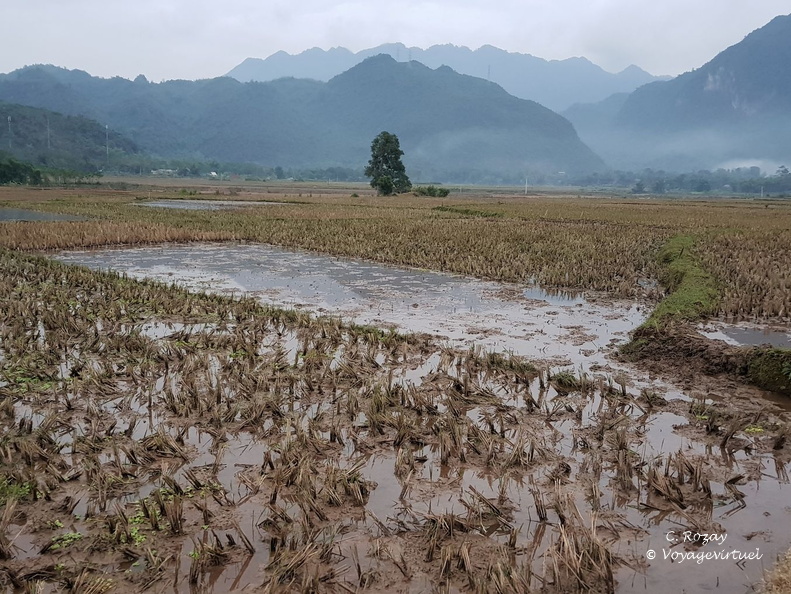Mai Chau Vietnam 10 11 17 216