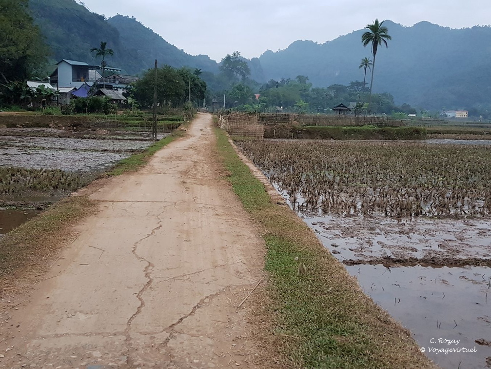 Mai Chau Vietnam 10 11 17 217