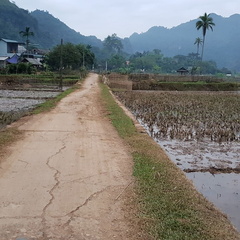 Mai Chau Vietnam 10 11 17 217
