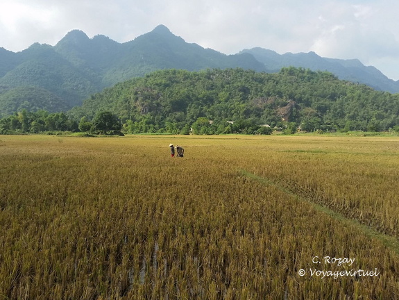 Mai Chau Vietnam 10 11 17 23