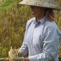 Mai Chau Vietnam 10 11 17 43