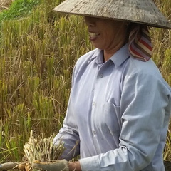 Mai Chau Vietnam 10 11 17 43
