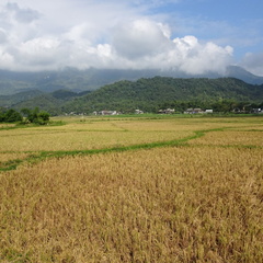 Mai Chau Vietnam 10 11 17 58