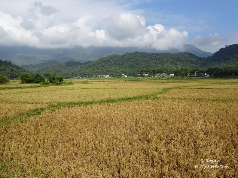 Mai Chau Vietnam 10 11 17 58
