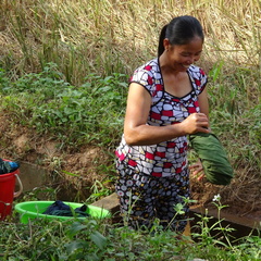 Mai Chau Vietnam 10 11 17 61
