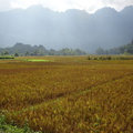 Mai Chau Vietnam 10 11 17 63