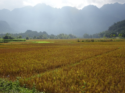 Mai Chau Vietnam 10 11 17 63