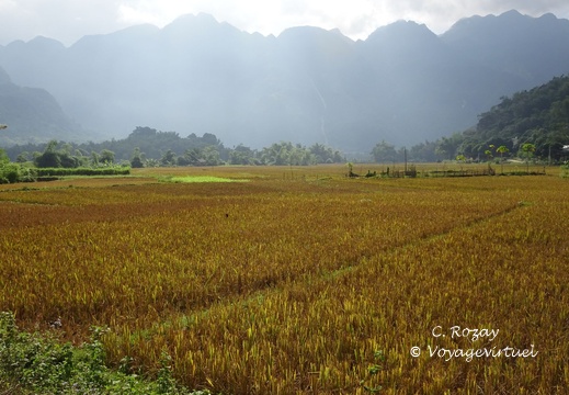 Mai Chau Vietnam 10 11 17 63