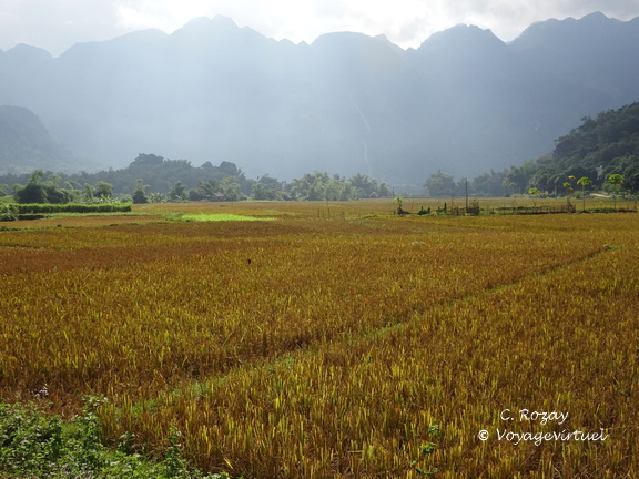 Mai Chau Vietnam 10 11 17 63