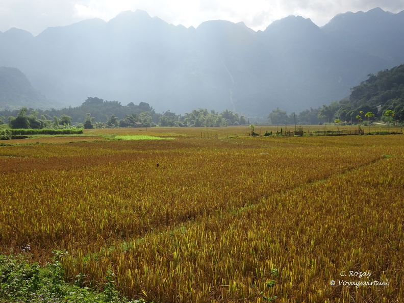 Mai Chau Vietnam 10 11 17 63