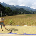 Mai Chau Vietnam 10 11 17 69