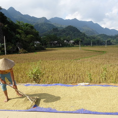 Mai Chau Vietnam 10 11 17 69