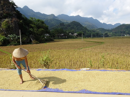 Mai Chau Vietnam 10 11 17 69