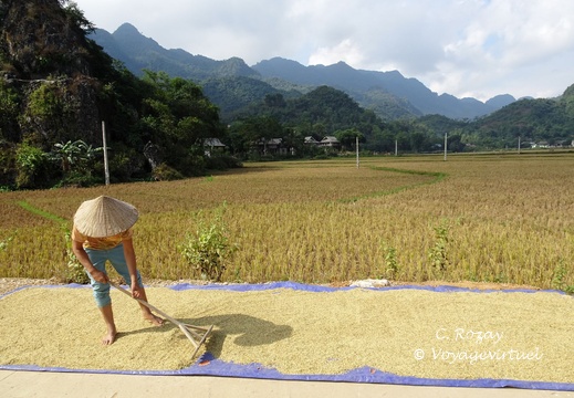 Mai Chau Vietnam 10 11 17 69