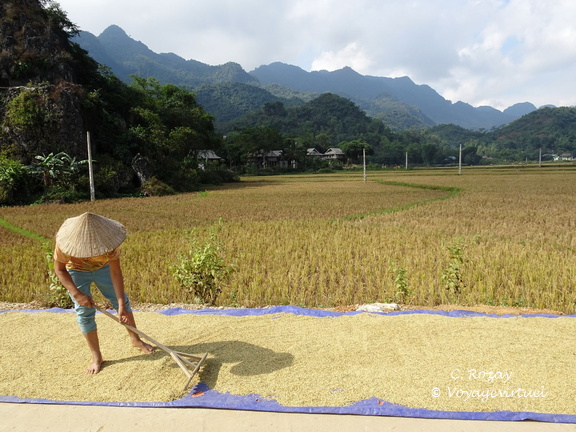 Mai Chau Vietnam 10 11 17 69