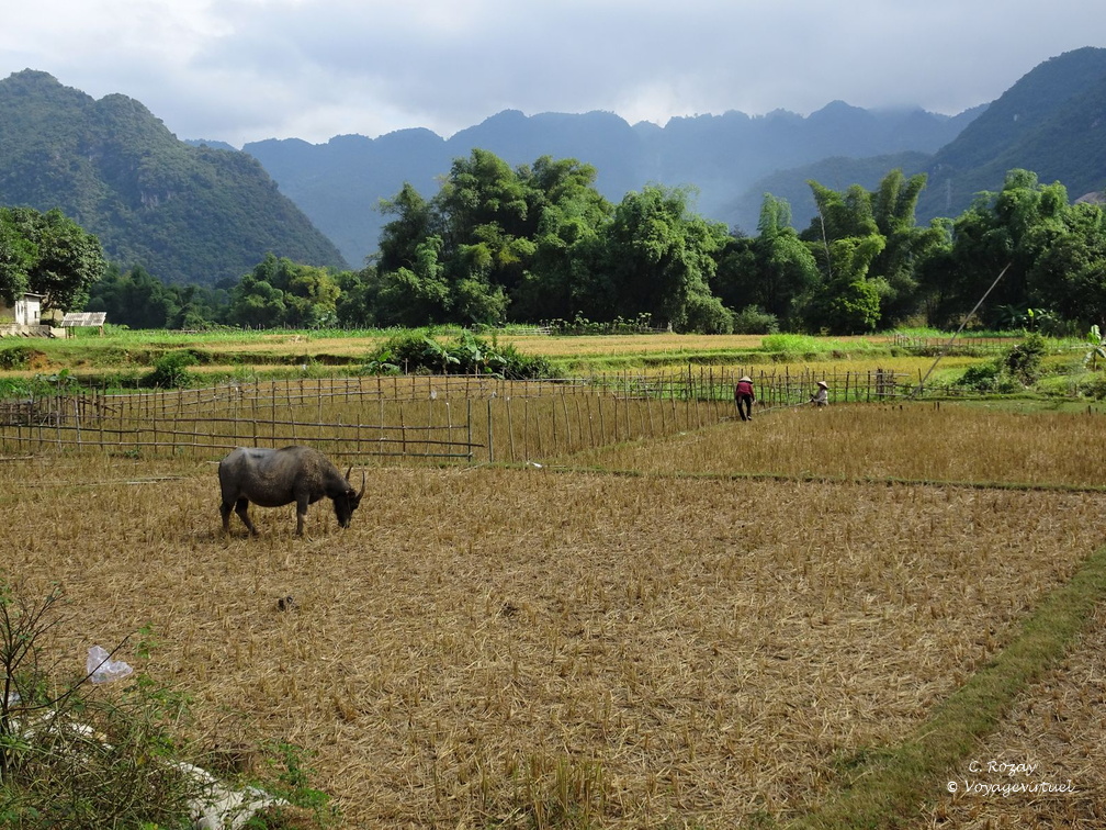 Mai Chau Vietnam 10 11 17 82