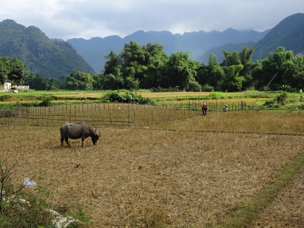 Mai Chau Vietnam 10 11 17 82