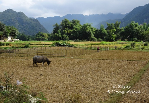 Mai Chau Vietnam 10 11 17 82