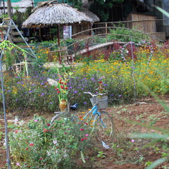 Mai Chau Vietnam 10 11 17 88