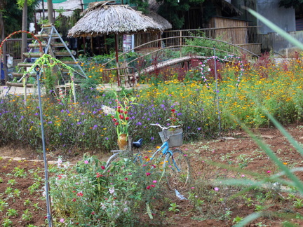 Mai Chau Vietnam 10 11 17 88