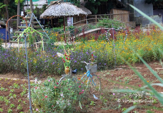 Mai Chau Vietnam 10 11 17 88