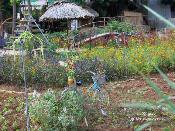 Mai Chau Vietnam 10 11 17 88