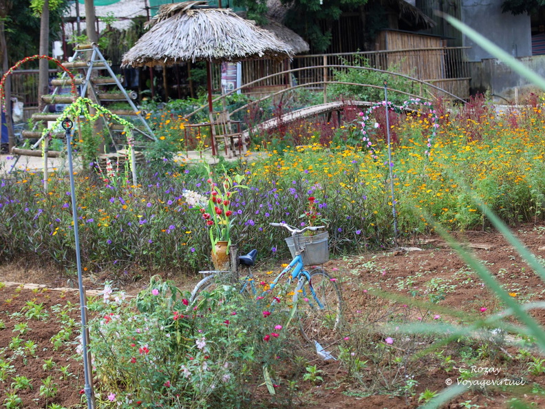 Mai Chau Vietnam 10 11 17 88