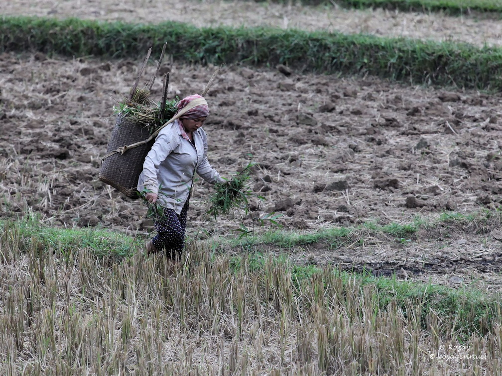 Mai Chau Vietnam 9 11 17 12