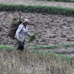 Mai Chau Vietnam 9 11 17 12