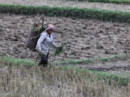 Mai Chau Vietnam 9 11 17 12