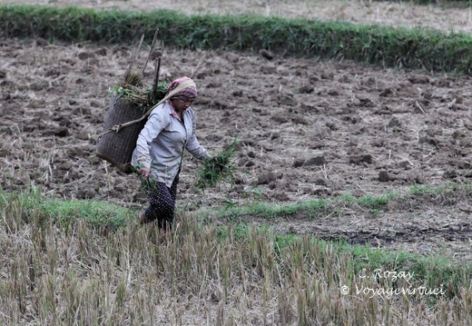 Mai Chau Vietnam 9 11 17 12