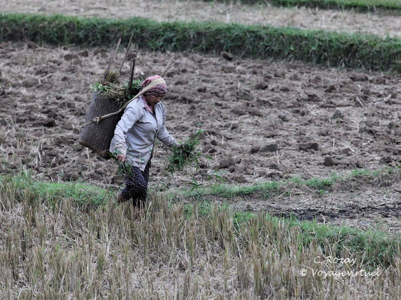 Mai Chau Vietnam 9 11 17 12