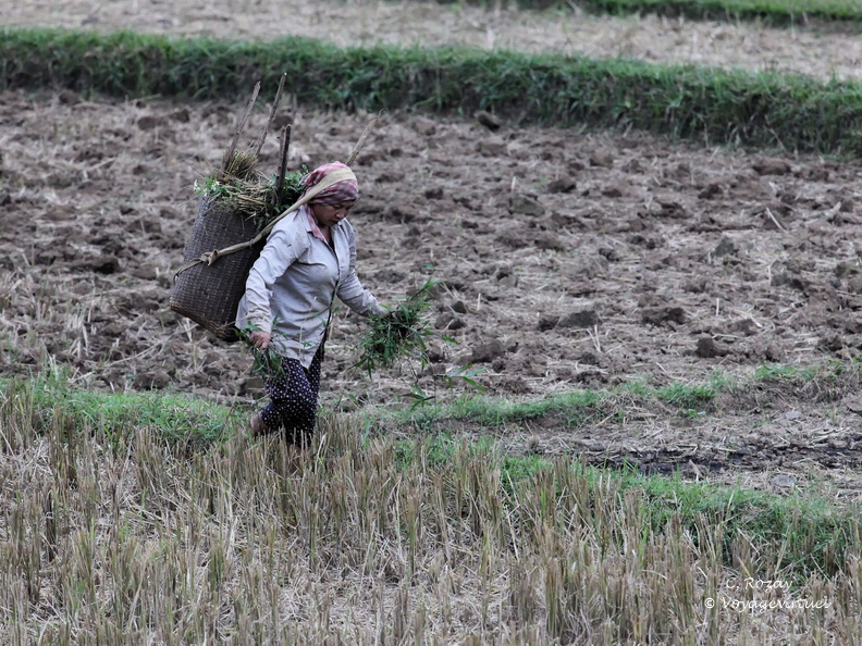 Mai Chau Vietnam 9 11 17 12