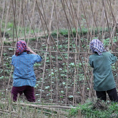 Mai Chau Vietnam 9 11 17 2