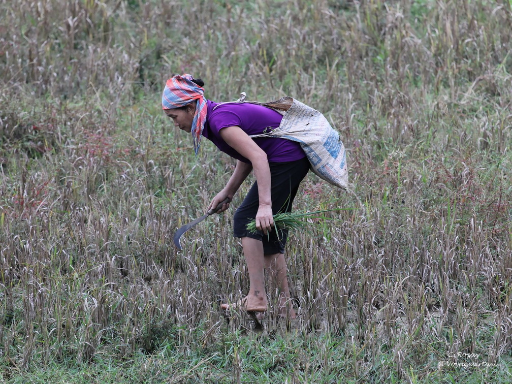 Mai Chau Vietnam 9 11 17 6