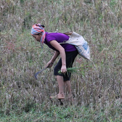 Mai Chau Vietnam 9 11 17 6