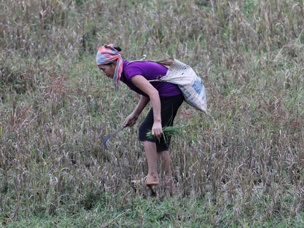 Mai Chau Vietnam 9 11 17 6