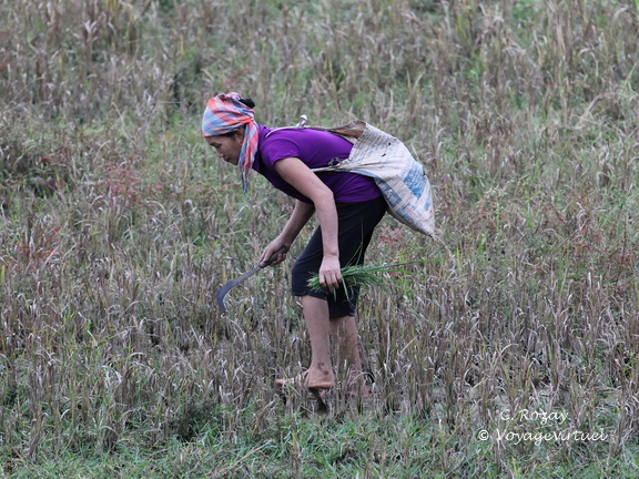 Mai Chau Vietnam 9 11 17 6
