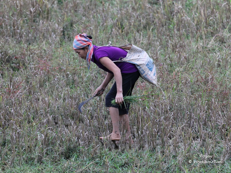 Mai Chau Vietnam 9 11 17 6