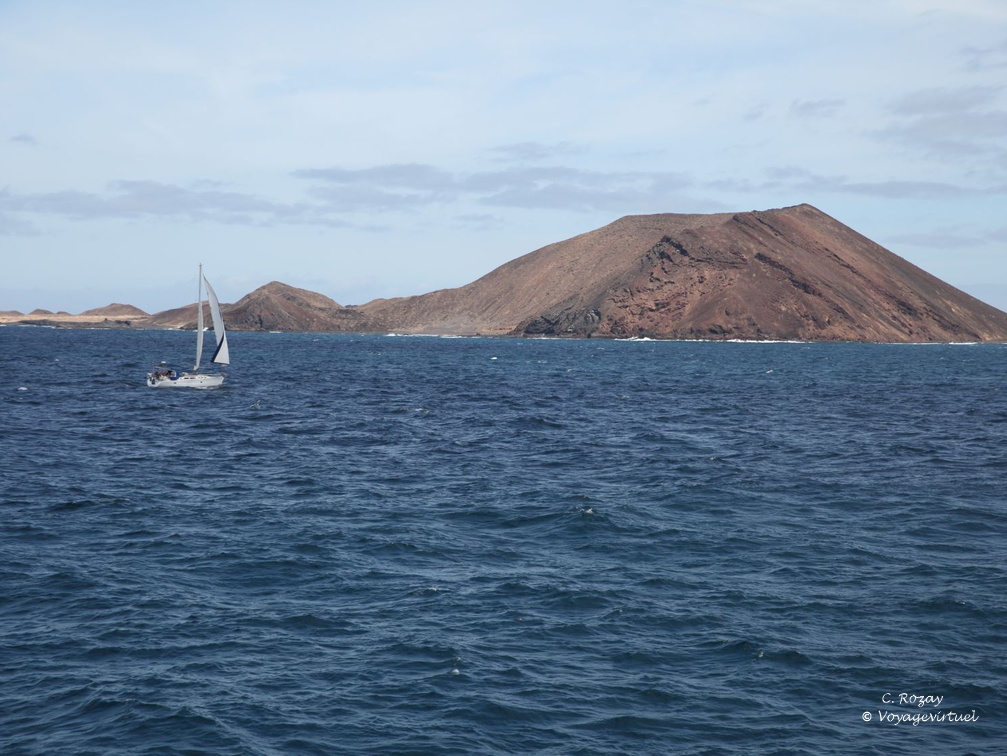 isla de lobos 004