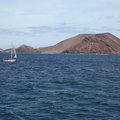 isla de lobos 004