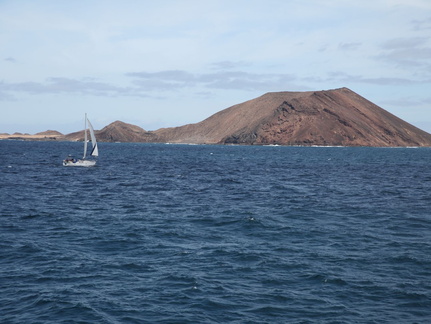 isla de lobos 004