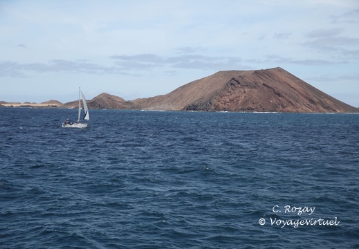isla de lobos 004