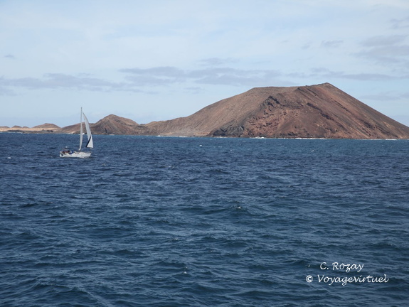 isla de lobos 004