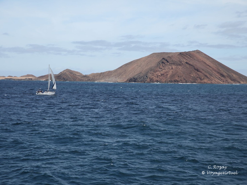 isla de lobos 004