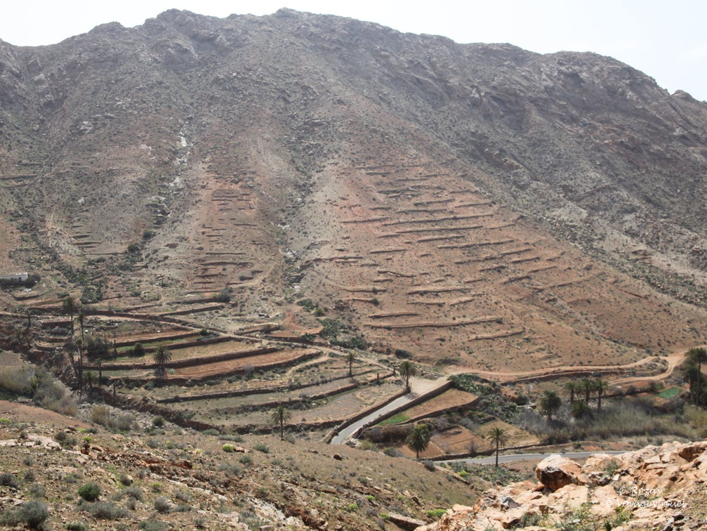 mirador las penitas 003