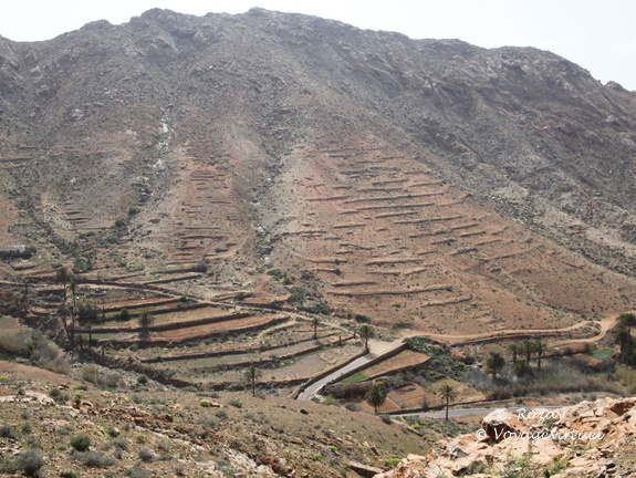 mirador las penitas 003