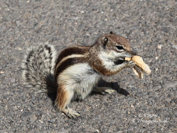 mirador las penitas 007