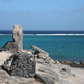 arrecife 019