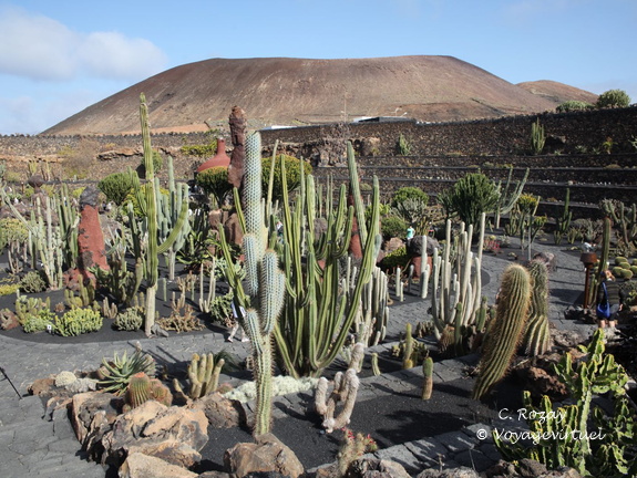 guatiza jardin de cactus 001